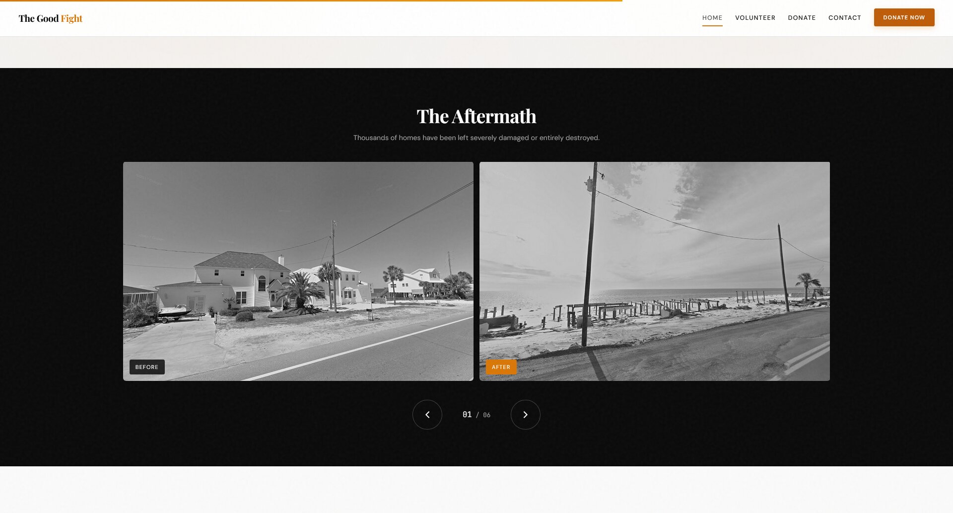 The Good Fight - Image 4